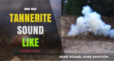 Explosive Insights: The Unique Sound of Tannerite Detonations Explained