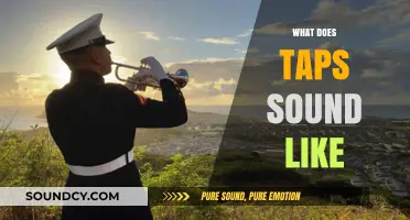 The Haunting Melody: Decoding the Solemn Sound of Taps