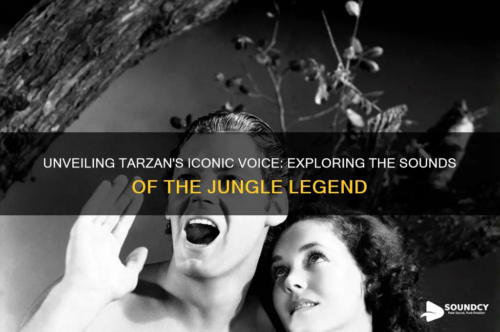what does tarzan sound like