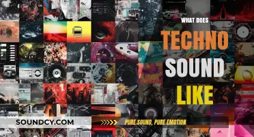 Unveiling Techno's Sonic Signature: Rhythms, Textures, and Beats Explained