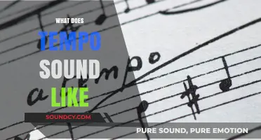 Exploring Tempo: The Sonic Signature of Rhythm and Pace in Music