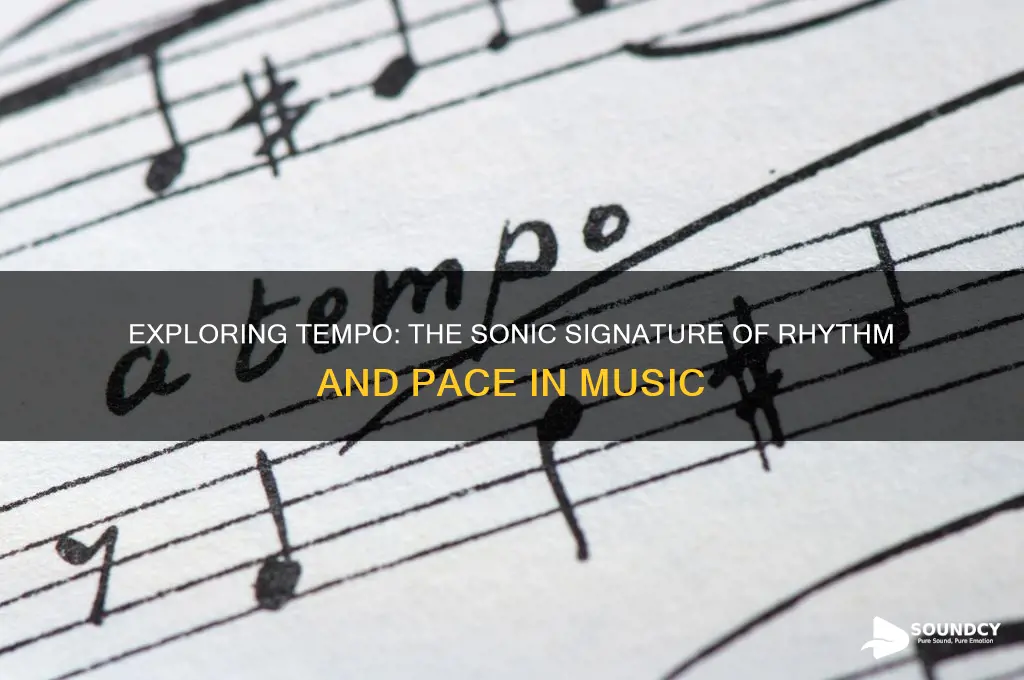 what does tempo sound like