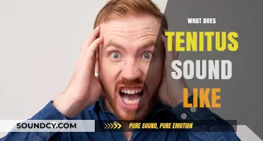 Understanding Tinnitus: Exploring the Phantom Sounds in Your Ears