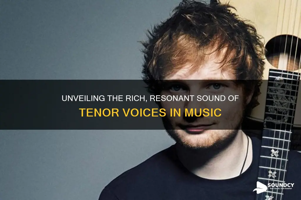 what does tenor sound like