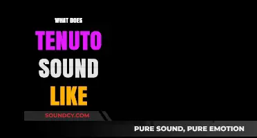 Understanding Tenuto: Its Distinct Sound and Musical Expression Explained