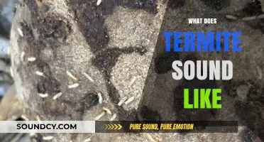 Uncovering the Mysterious Sounds of Termites: What Do They Sound Like?