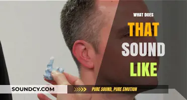What Does That Sound Like? Decoding Auditory Impressions and Meanings