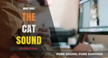 Decoding Cat Sounds: Understanding What Your Feline Friend is Communicating
