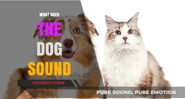 Understanding Dog Sounds: Decoding Barks, Whines, and Growls for Better Communication