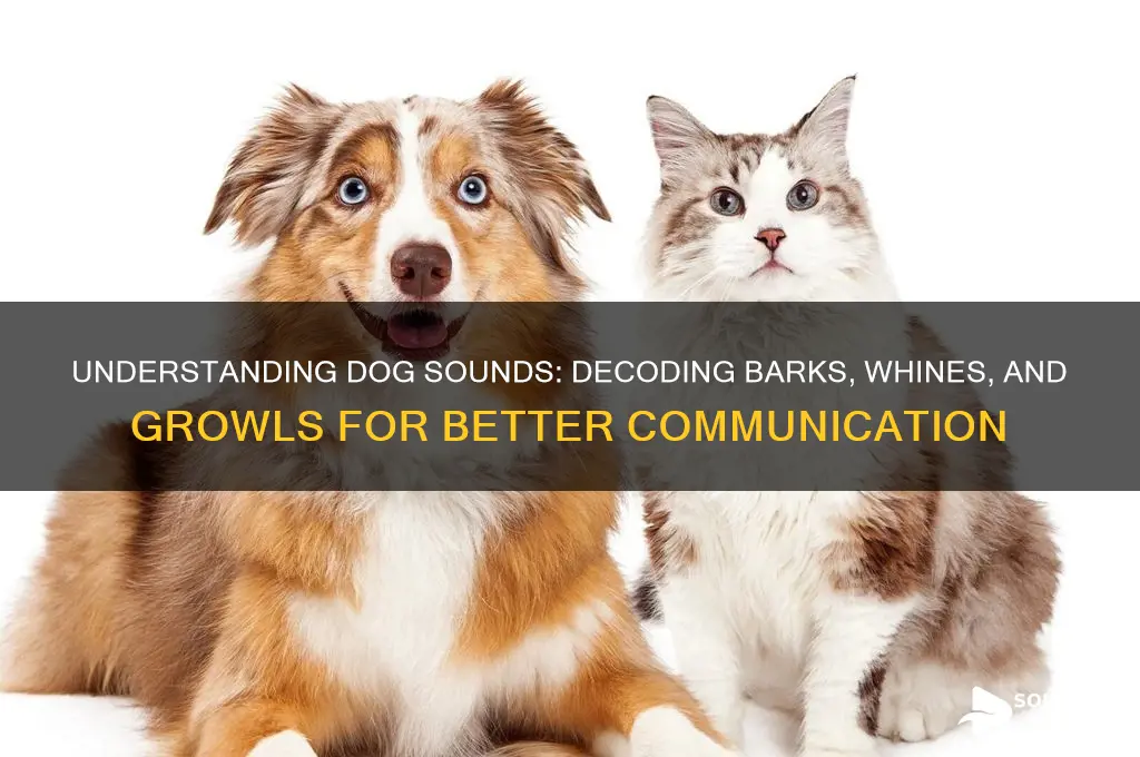 what does the dog sound