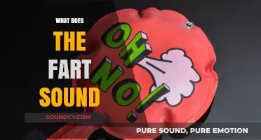 Unveiling the Science and Humor Behind What Fart Sounds Reveal