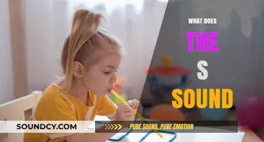 Unraveling the Mystery: What Does the S Sound Truly Represent?