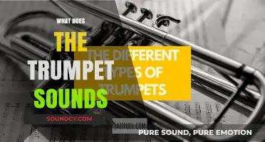 Exploring the Rich, Vibrant Sounds of the Trumpet: A Musical Journey