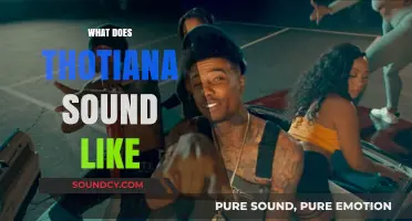 Exploring the Catchy Beat and Lyrics of Thotiana's Iconic Sound