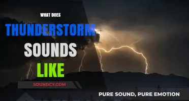 The Thunderous Symphony: Decoding the Sounds of a Thunderstorm