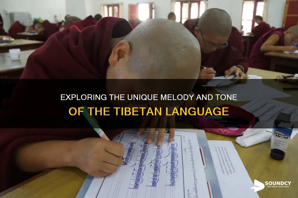 what does tibetan sound like