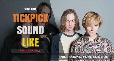 Unveiling TickPick's Sonic Identity: What Does TickPick Sound Like?