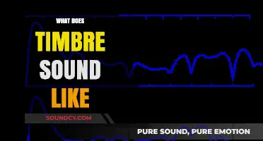 Unveiling the Unique Sonic Signature: What Does Timbre Sound Like?