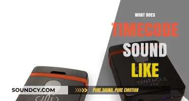 Unveiling the Audible Mystery: What Does Timecode Actually Sound Like?