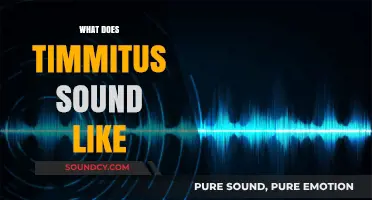 Unveiling Timmitus: Exploring the Unique Sonic Signature of Its Sound