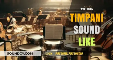 Exploring the Deep, Resonant Sound of Timpani in Music