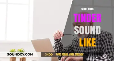 What Does Tinder Sound Like? Decoding the Audio of Modern Dating