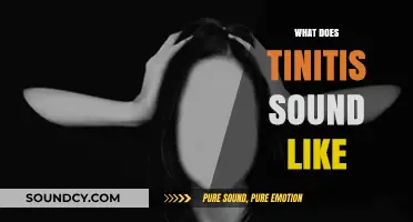 Understanding Tinnitus: What Does the Ringing in Your Ears Sound Like?