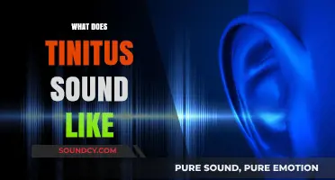 Understanding Tinnitus: Exploring the Diverse Sounds of Ringing Ears