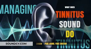 Understanding Tinnitus: What Does That Persistent Ringing Sound Mean?
