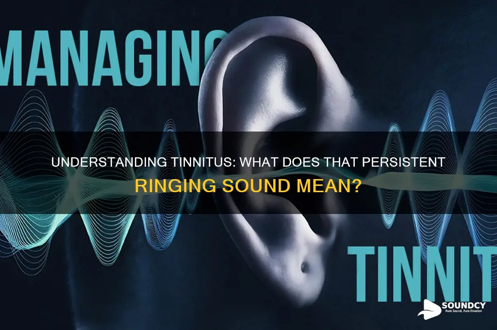 what does tinnitus sound do