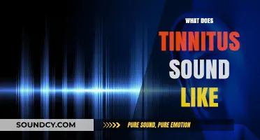 Understanding Tinnitus: What Those Persistent Ear Noises Really Sound Like