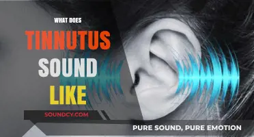 Understanding Tinnitus: The Phantom Sounds and Their Varied Auditory Experiences