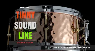 Unveiling the Unique Characteristics of a Tinny Sound: A Comprehensive Guide