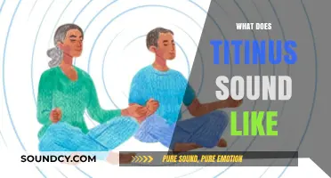 Understanding Tinnitus: The Phantom Sounds and Their Impact on Daily Life