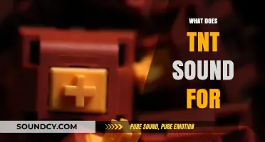 Explosive Truth: Unveiling the Real Sound of TNT Detonation