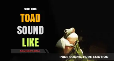 Exploring the Unique Croaks: What Does a Toad Sound Like?