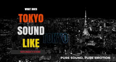 Tokyo's Sonic Tapestry: Exploring the City's Unique Soundscape and Rhythms