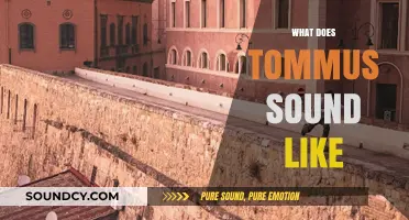Unveiling the Unique Sound of Tommus: A Sonic Exploration