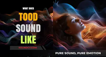 Exploring the Unique Sound of 'Tood': What Does It Really Sound Like?