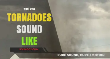 Unveiling the Terrifying Sounds of Tornadoes: What Do They Really Sound Like?
