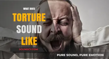 The Haunting Echoes: Decoding the Sounds of Torture and Trauma