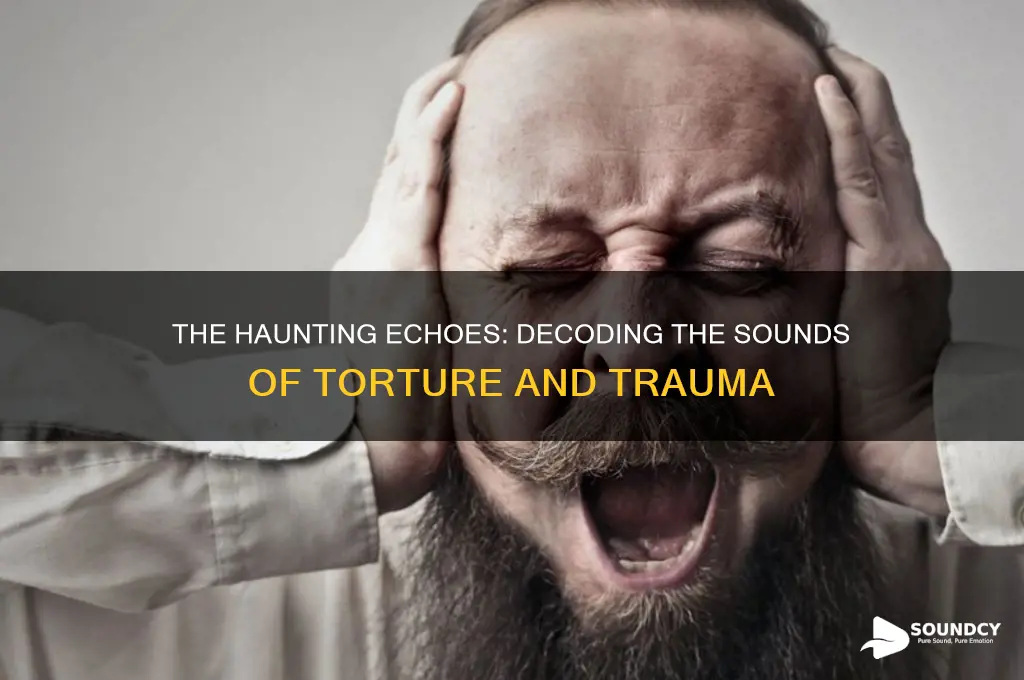 what does torture sound like