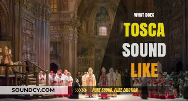 Exploring Tosca's Unique Sound: A Deep Dive into Its Musical Identity