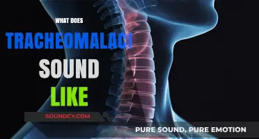 Understanding Tracheomalacia: Identifying the Distinct Sounds and Symptoms