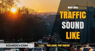 Exploring the Urban Symphony: What Does Traffic Sound Like?