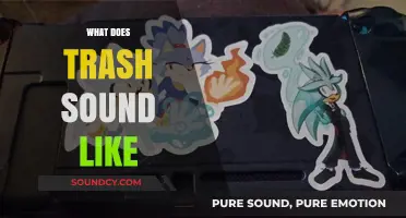 Unveiling the Unexpected: Decoding the Sonic Signature of Everyday Trash