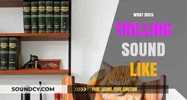 Understanding the Vibrant, Fluttering Tone of a Trilling Sound