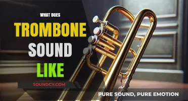 Exploring the Rich, Bold, and Versatile Sound of the Trombone