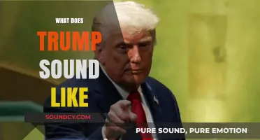 Decoding Trump's Unique Speech Patterns and Vocal Tone: What Does He Sound Like?