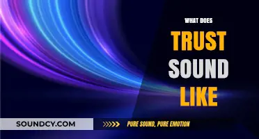 The Audible Essence of Trust: Decoding Its Sonic Signature